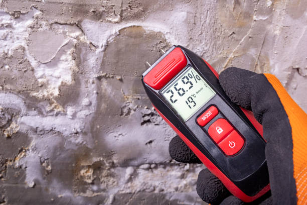 Altavista, VA Mold Removal Company