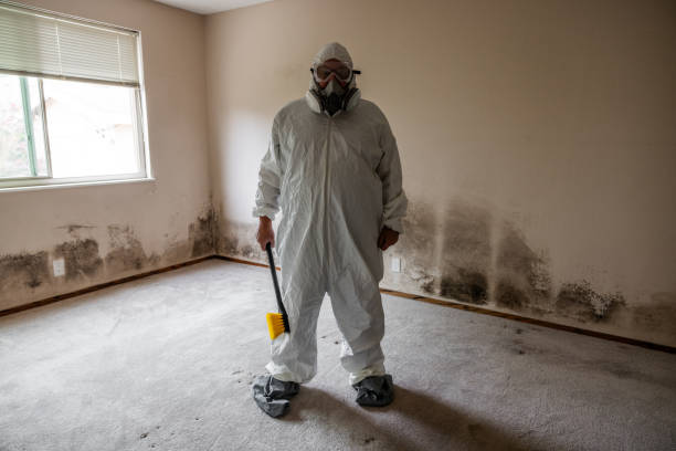 Best Local Mold Removal Service  in Altavista, VA